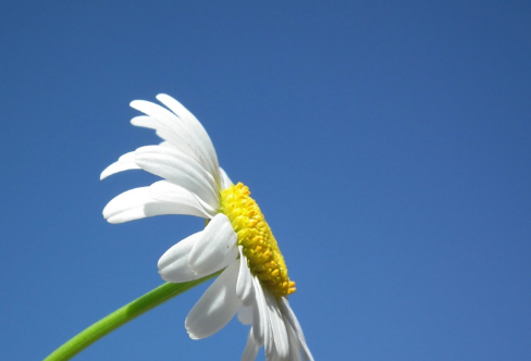 1714140802107454.png image.png