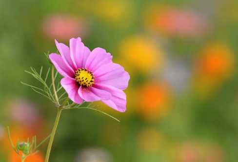 1714140969875266.png image.png