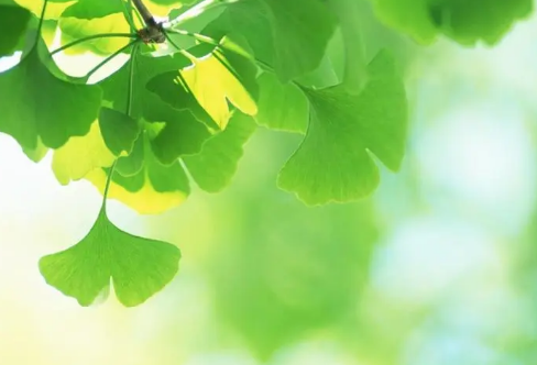 1714141302983964.png image.png