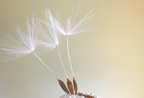 1714141802757230.png image.png