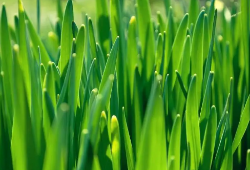 1714146801125222.png image.png