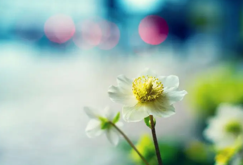 1714147134930390.png image.png