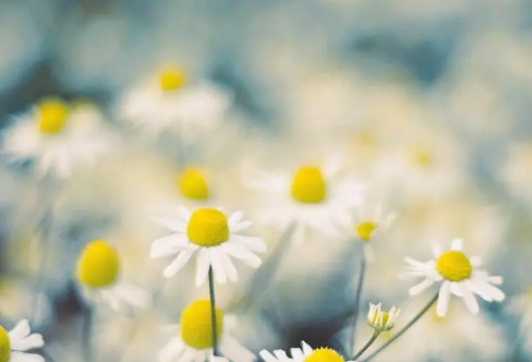 1714151464119757.png image.png