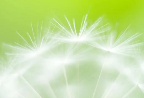 1714151631533895.png image.png