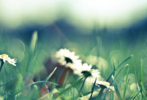 1714152464702235.png image.png