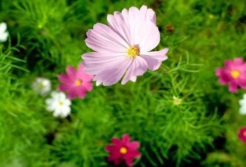 1714153130342963.png image.png
